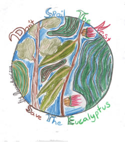 Save-the-Eucalyptus.jpg